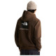 The North Face Ανδρικό φούτερ Evolution Box NSE Regular Hoodie
